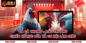 Đá Gà Thomo - Đấu Trường Chiến Kê Rực Lửa - Làm Giàu Tại 88i