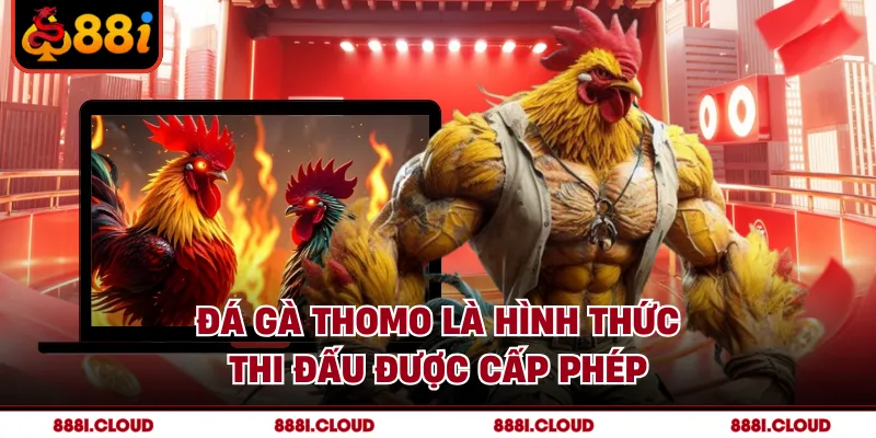 Đá gà Thomo là hình thức thi đấu được cấp phép