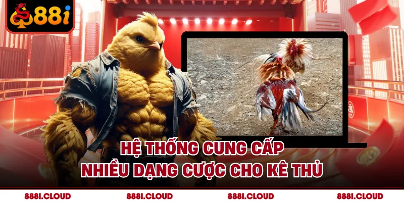 Hệ thống cung cấp nhiều dạng cược cho kê thủ
